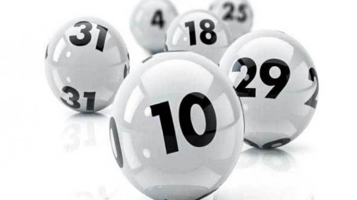 Khám Phá Thế Giới Đá Gà 88 và Những Điểm Nổi Bật Của Nó